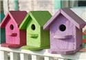 Veranstaltungsbild SG SÖGEL / SPAHNHARRENSTÄTTE / Gemeinsames Nistkasten bauen